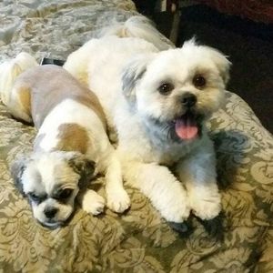 Meet your Posher, Becky